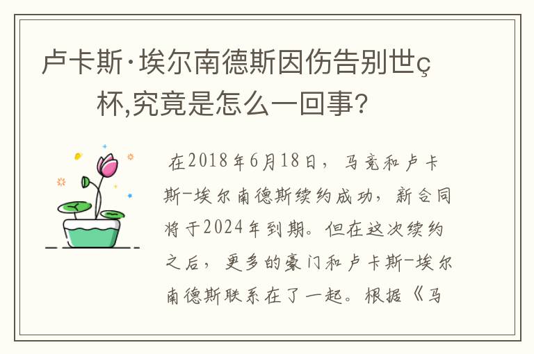 卢卡斯·埃尔南德斯因伤告别世界杯,究竟是怎么一回事?