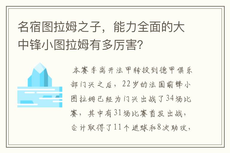 名宿图拉姆之子，能力全面的大中锋小图拉姆有多厉害？