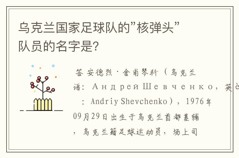 乌克兰国家足球队的”核弹头”队员的名字是？