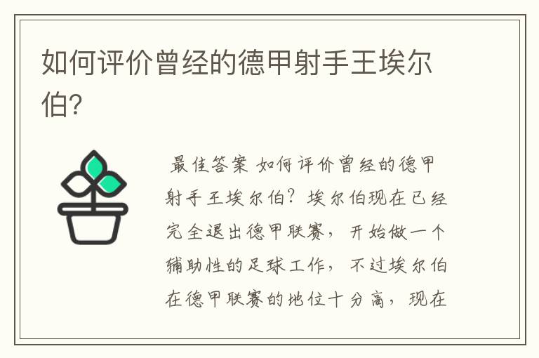 如何评价曾经的德甲射手王埃尔伯？