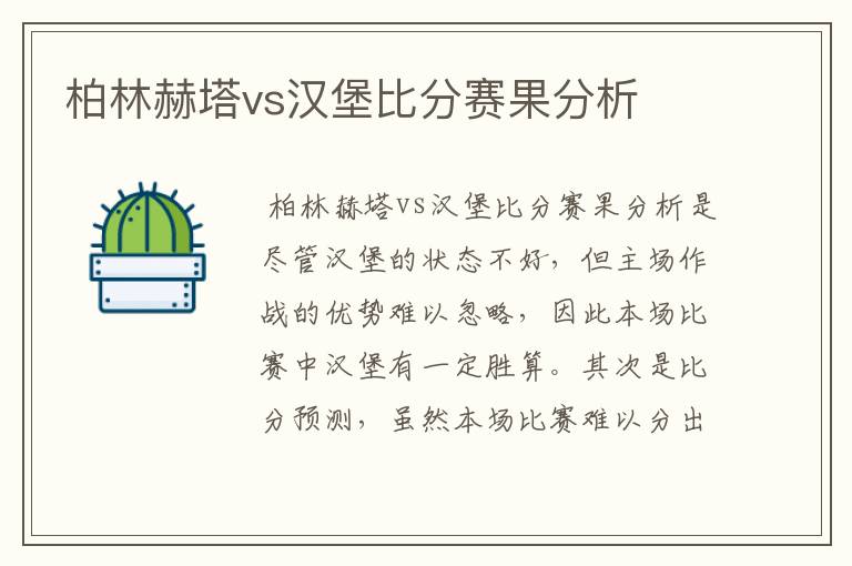 柏林赫塔vs汉堡比分赛果分析