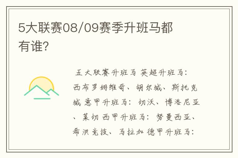 5大联赛08/09赛季升班马都有谁？