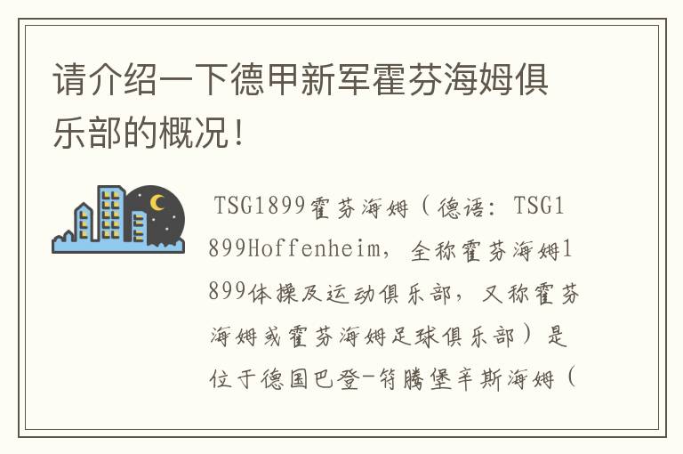 请介绍一下德甲新军霍芬海姆俱乐部的概况！