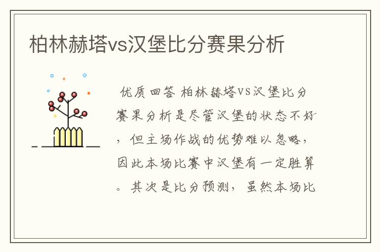 柏林赫塔vs汉堡比分赛果分析