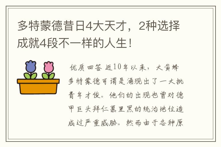 多特蒙德昔日4大天才，2种选择成就4段不一样的人生！