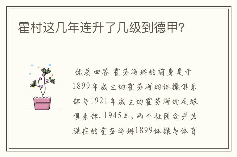 霍村这几年连升了几级到德甲？