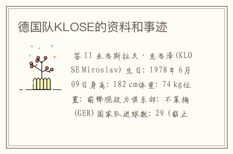 德国队KLOSE的资料和事迹