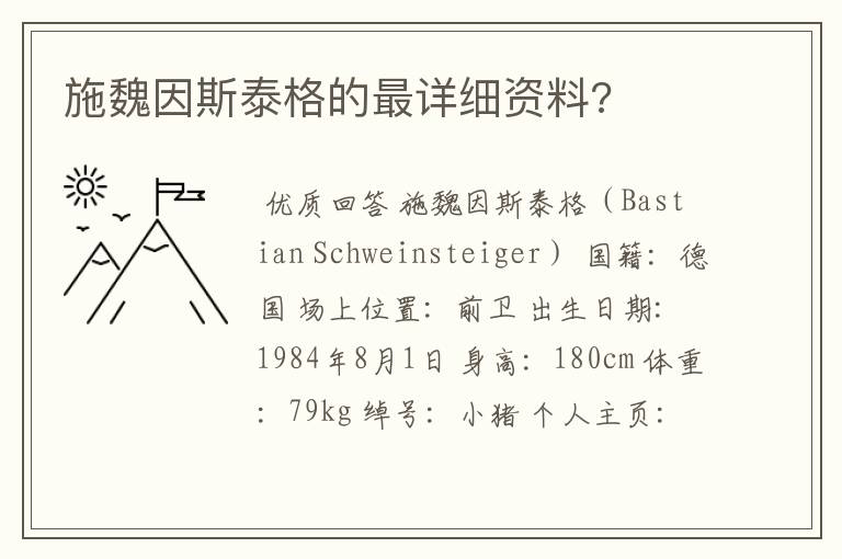 施魏因斯泰格的最详细资料?