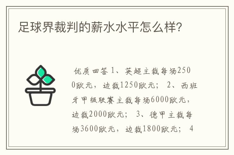 足球界裁判的薪水水平怎么样？