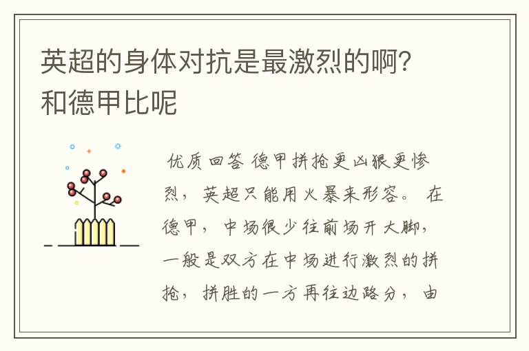 英超的身体对抗是最激烈的啊？和德甲比呢