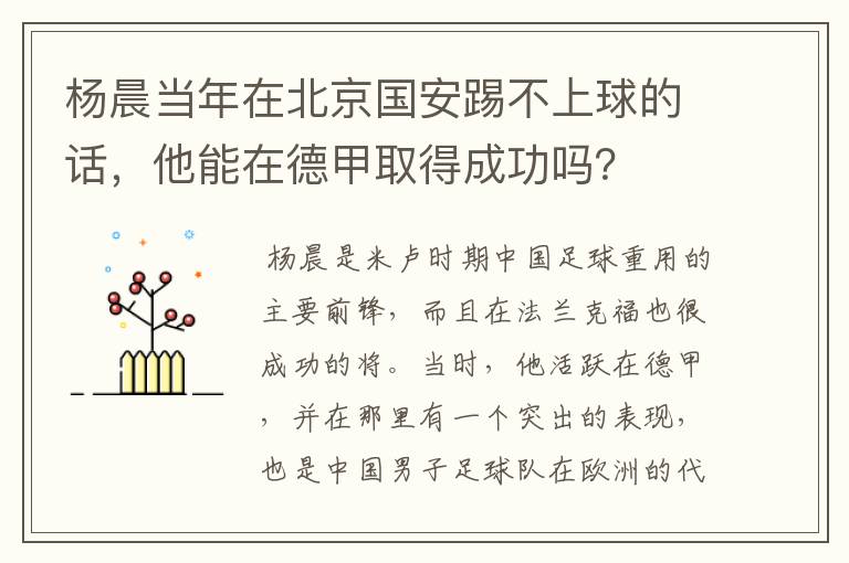 杨晨当年在北京国安踢不上球的话，他能在德甲取得成功吗？