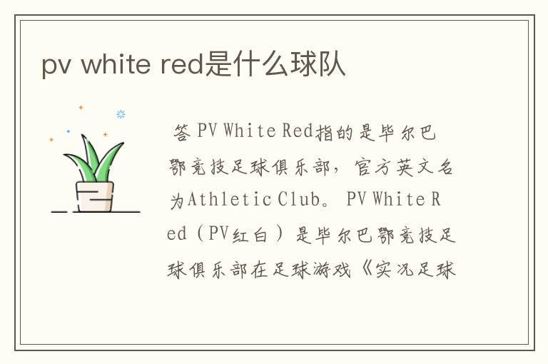 pv white red是什么球队