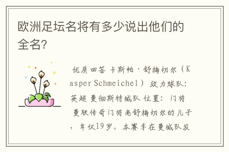 欧洲足坛名将有多少说出他们的全名？