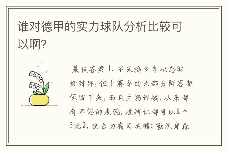 谁对德甲的实力球队分析比较可以啊？