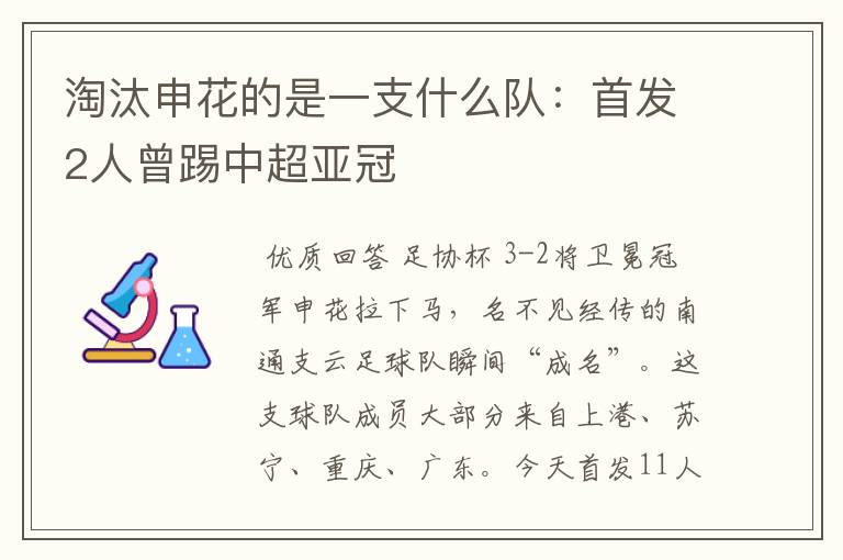 淘汰申花的是一支什么队：首发2人曾踢中超亚冠