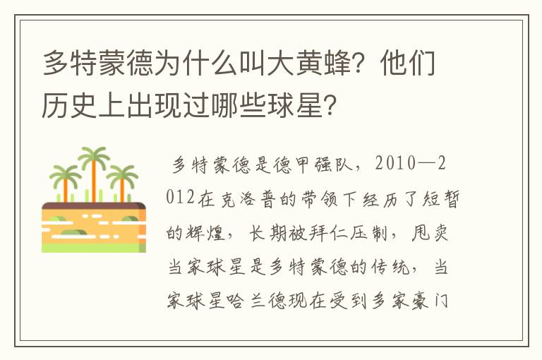 多特蒙德为什么叫大黄蜂？他们历史上出现过哪些球星？