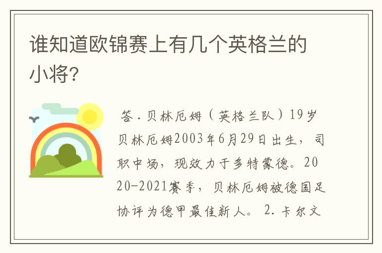 谁知道欧锦赛上有几个英格兰的小将?