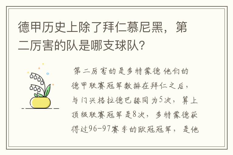 德甲历史上除了拜仁慕尼黑，第二厉害的队是哪支球队？