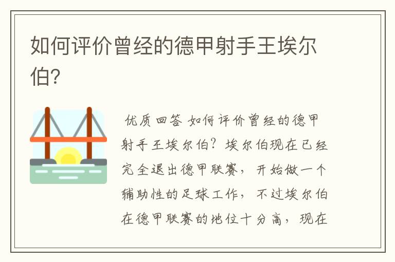 如何评价曾经的德甲射手王埃尔伯？