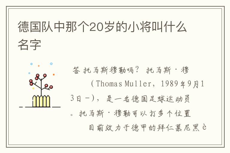 德国队中那个20岁的小将叫什么名字