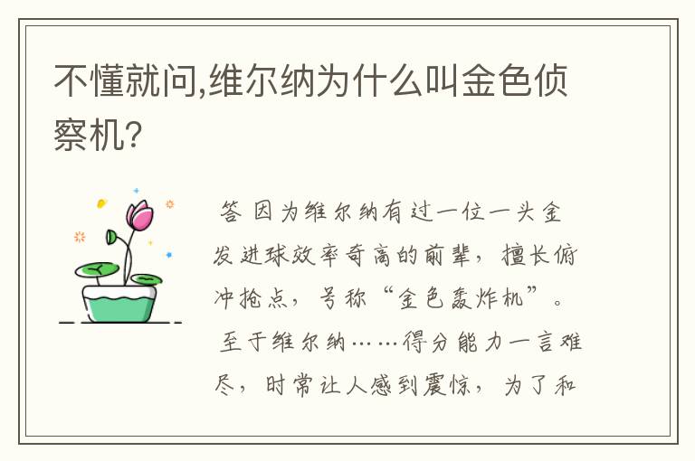 不懂就问,维尔纳为什么叫金色侦察机？