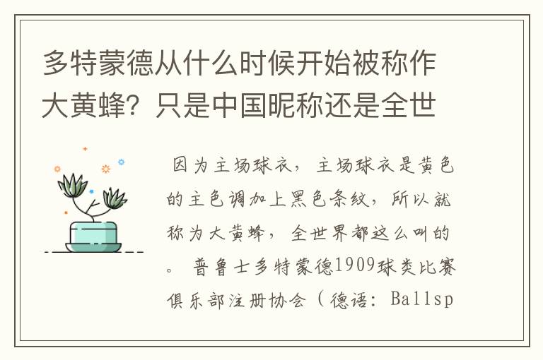 多特蒙德从什么时候开始被称作大黄蜂？只是中国昵称还是全世界范围都这么称呼