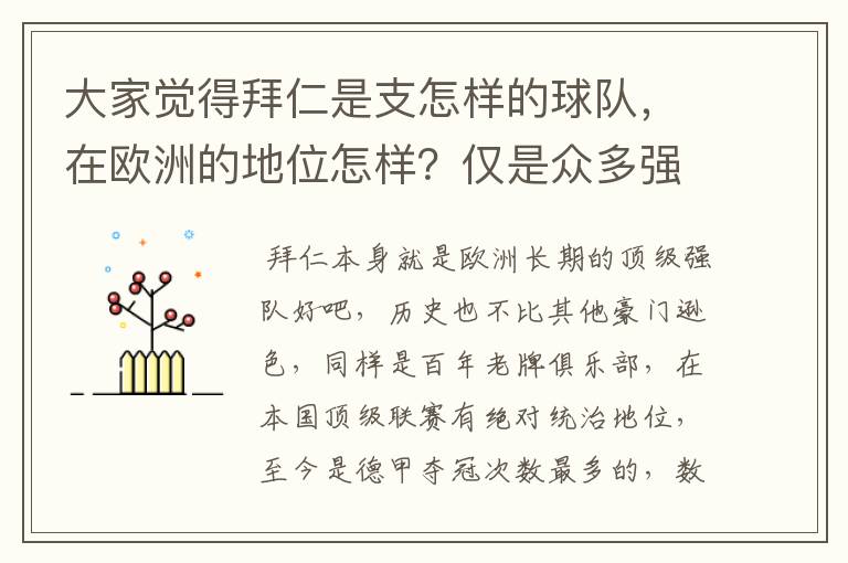 大家觉得拜仁是支怎样的球队，在欧洲的地位怎样？仅是众多强队中的一支，还是已经进入为数不多的顶级强队