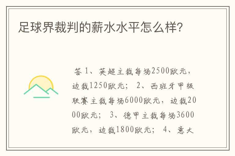 足球界裁判的薪水水平怎么样？