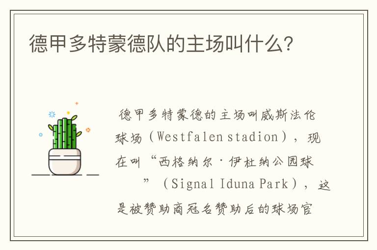 德甲多特蒙德队的主场叫什么?