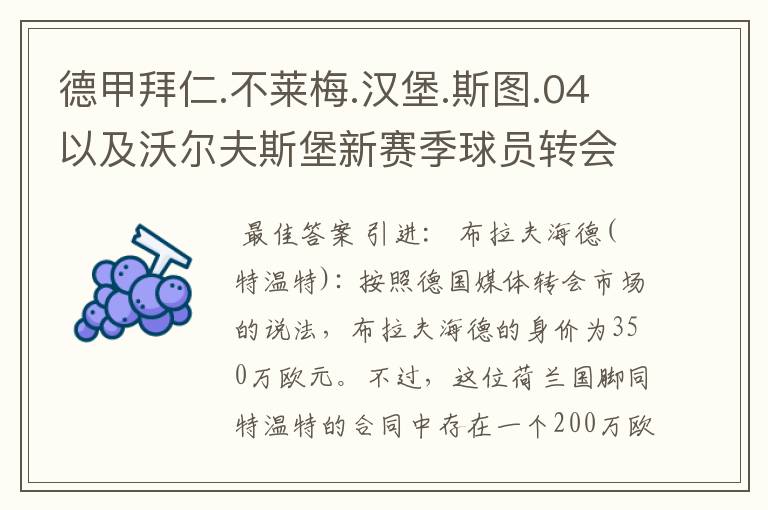 德甲拜仁.不莱梅.汉堡.斯图.04以及沃尔夫斯堡新赛季球员转会一览