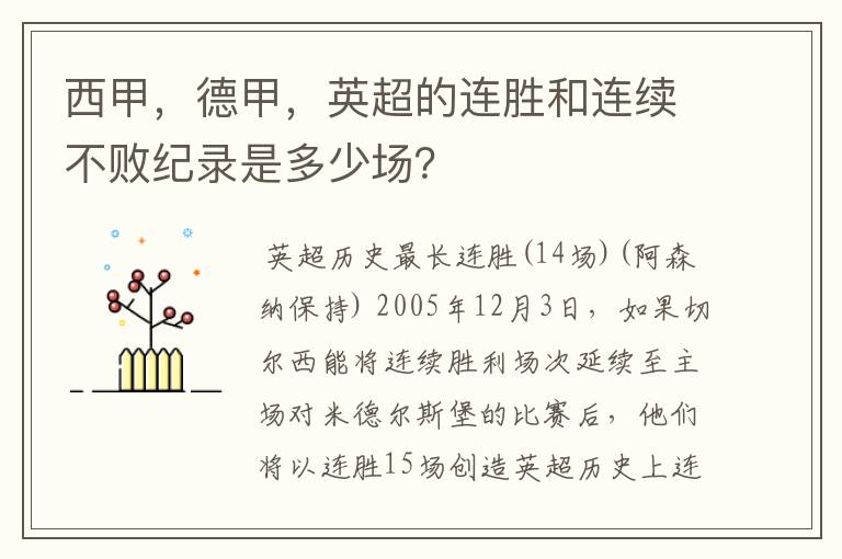 西甲，德甲，英超的连胜和连续不败纪录是多少场？