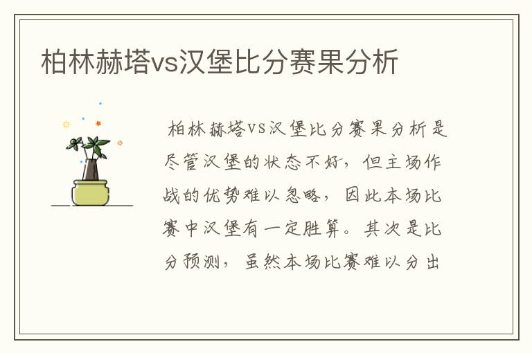 柏林赫塔vs汉堡比分赛果分析