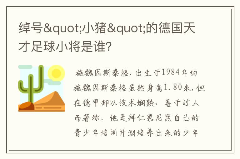 绰号"小猪"的德国天才足球小将是谁？