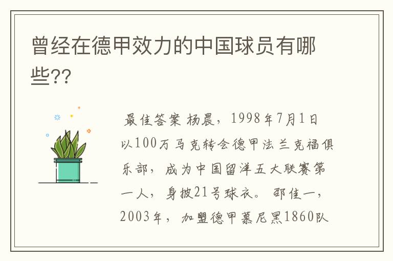 曾经在德甲效力的中国球员有哪些??