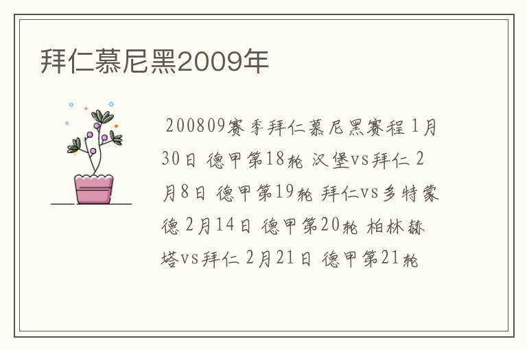 拜仁慕尼黑2009年