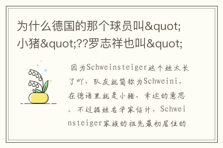 为什么德国的那个球员叫"小猪"??罗志祥也叫"小猪"??