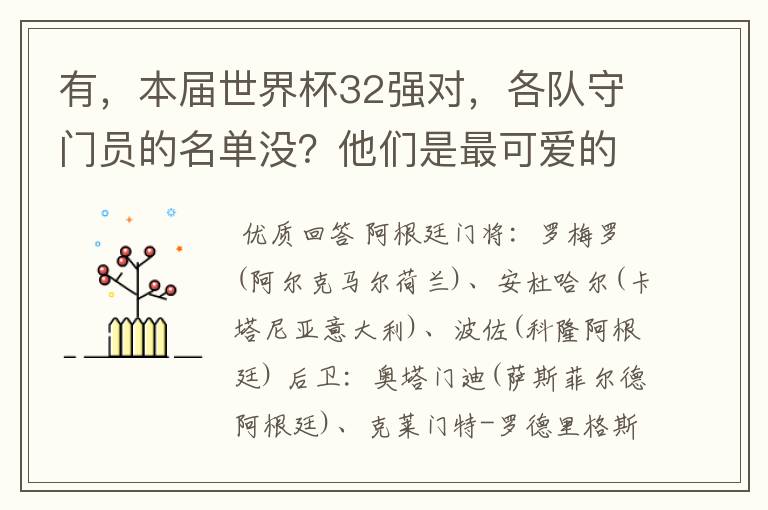 有，本届世界杯32强对，各队守门员的名单没？他们是最可爱的人