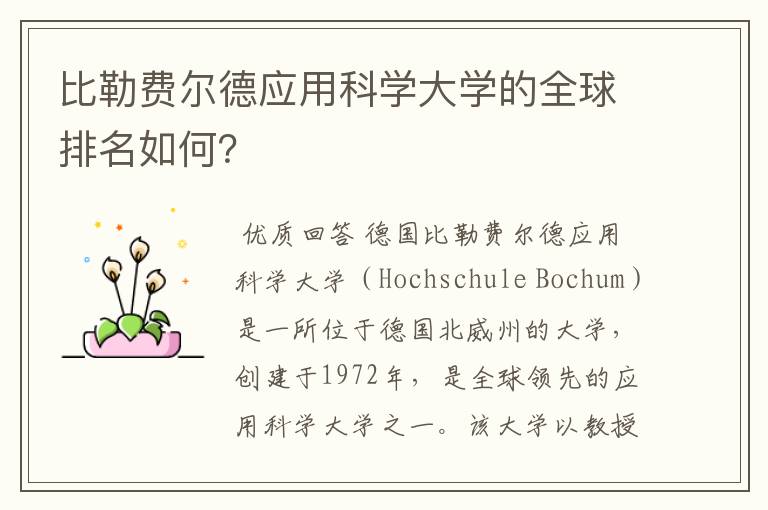 比勒费尔德应用科学大学的全球排名如何？