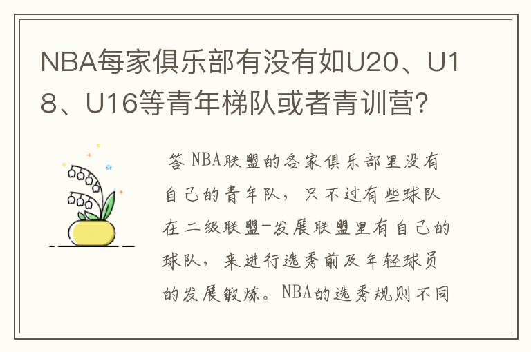 NBA每家俱乐部有没有如U20、U18、U16等青年梯队或者青训营？