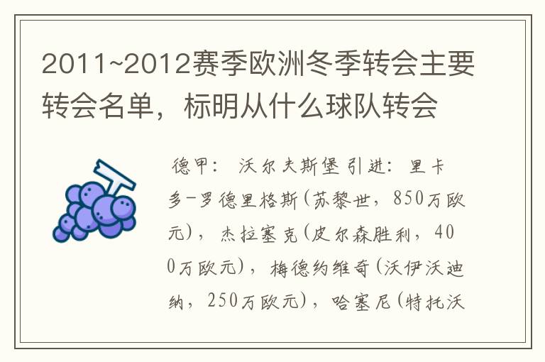 2011~2012赛季欧洲冬季转会主要转会名单，标明从什么球队转会到什么球队，多谢~