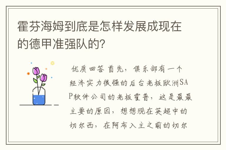 霍芬海姆到底是怎样发展成现在的德甲准强队的？