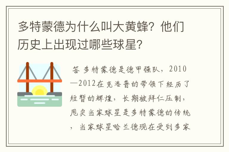 多特蒙德为什么叫大黄蜂？他们历史上出现过哪些球星？