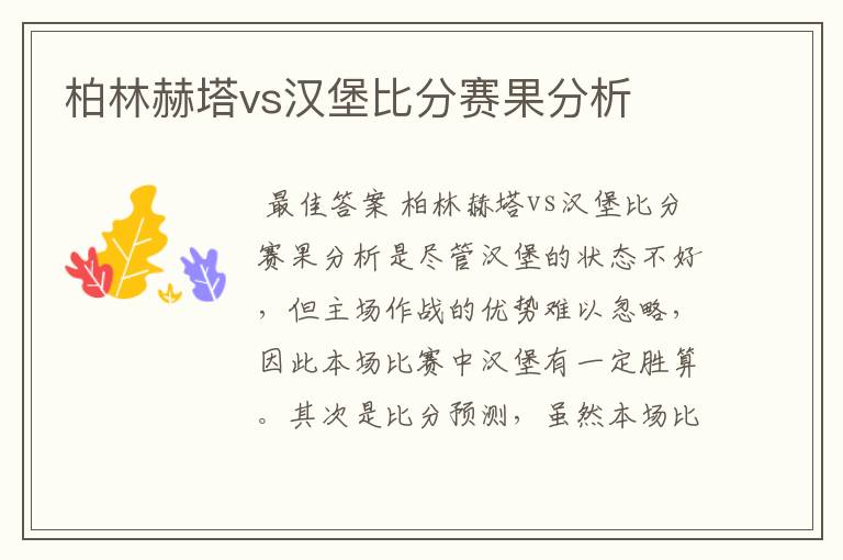 柏林赫塔vs汉堡比分赛果分析