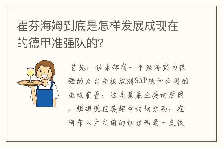 霍芬海姆到底是怎样发展成现在的德甲准强队的？