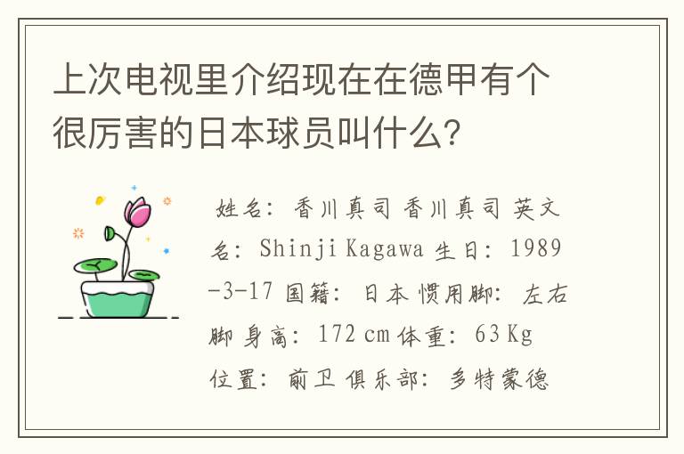 上次电视里介绍现在在德甲有个很厉害的日本球员叫什么？