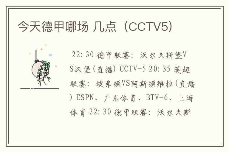 今天德甲哪场 几点（CCTV5)