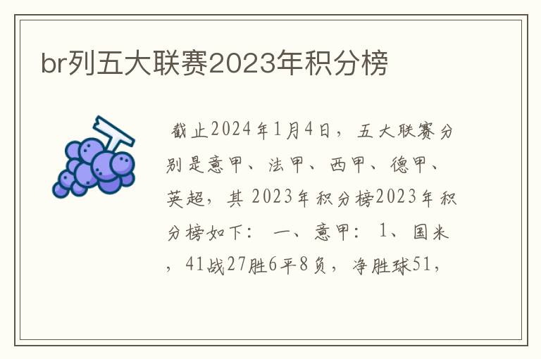 br列五大联赛2023年积分榜