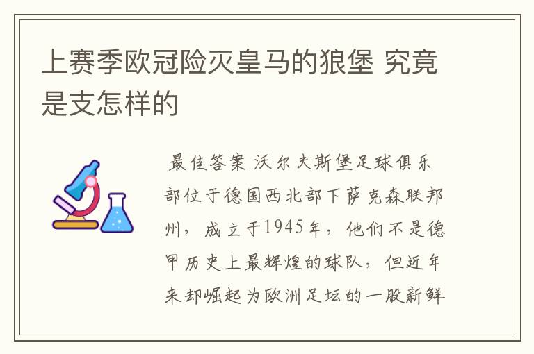 上赛季欧冠险灭皇马的狼堡 究竟是支怎样的