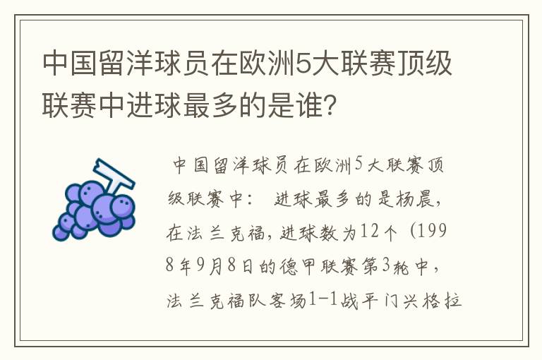 中国留洋球员在欧洲5大联赛顶级联赛中进球最多的是谁？