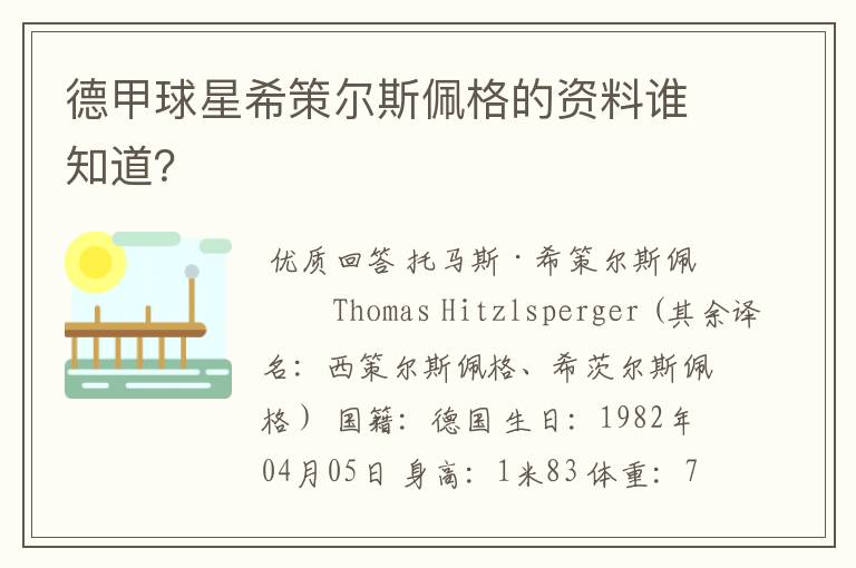 德甲球星希策尔斯佩格的资料谁知道？